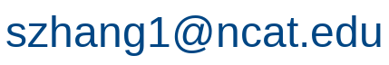 Primary email address (image)